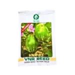 Nwe Vnr VNR-B5 F1 Hybrid Brinjal Organic Vegetable Seeds