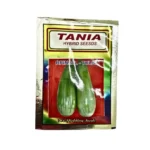 Tania Hybrid Seeds Brinjal-Tulsi