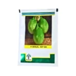 KSP Kalash F1 Hybrid 1542 Brinjal Organic Vegetable Seeds