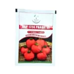 Kalash Ksp 1724 Pragathi F1 Hybrid Tomato 10 gm Vegetable Seeds Online India