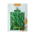 Acen Hyveg Aastha-Hybrid Chilli Seeds