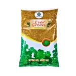 Ever Green Dhaniya Patta Seeds