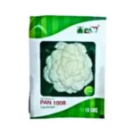 Pan 1008 F1 Hybrid Cauliflower Best fulgobi Phool Gobhi Phulkobi Seeds