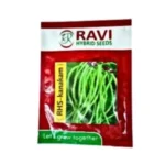 New Ravi Hybrid Rhs-Kanakam Barbati Cowpea Latika Chani Seeds