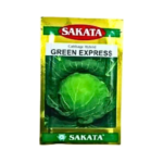 Vegetable Name : CABBAGE Variety : GREEN EXPRESS Brand : SAKATA  Weight: 100 gm Season : kharif / Rabi /Summer.