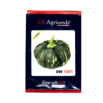 US Agriseeds SW 1001 F1 Hybrid Pumpkin Seeds