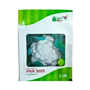 PAN (Pan 3025) F1 Hybrid Cauliflower Seeds