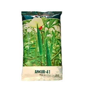 New Ankuer (ANKUR-41) Okra/Bhindi Organic Vegetable Seeds