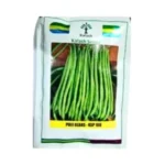 New Kalash Ksp 168 Arpita Poie-Beans Seeds