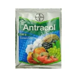 Bayer Antracol 100gm Contact Fungicide