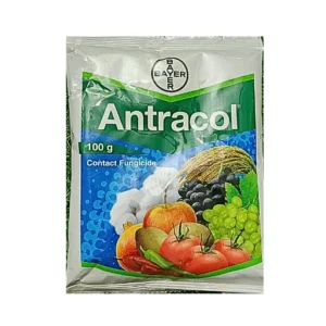 Bayer Antracol 100gm Contact Fungicide