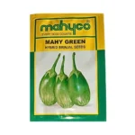 New Maguco Mahy Green Hybrid Brinjal Seeds