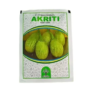 New Kalash Akriti KSP 1456 F1 Hybrid Brinjal Organic Vegetable Seeds