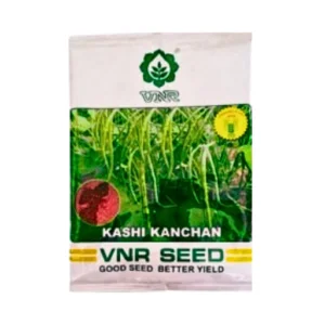 Vnr Kashi Kanchan Cowpea Beans Seeds