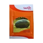 New Vachan Lambodhar F1 Hybrid Pumpkin Seeds