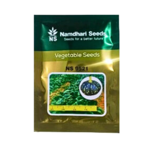 Namdhari Ns 9521 F1 Hybrid Pumpkin Seeds