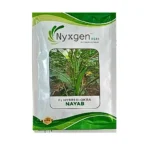 New Nyxgen Agri Nayab F1 Hybrid Okra Organic Vegetable Seeds