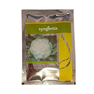 New Syngenta CFL 1522 Hybrid Cauliflower Seeds