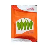 New Vachan (VHPH-0513) Hot Pepper F1 Hybrid Chilly Organic Vegetable Seeds