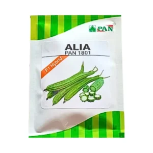 New Pan (PAN 1801) Alia F1 Hybrid Ridge Gourd Organic Vegetable Seeds