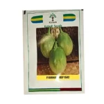 New Kalash KSP 1542 F1 Brinjal Seeds