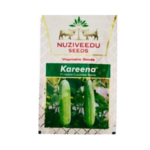 Nuziveedu Kareena F1 Hybrid Cucumber Seeds