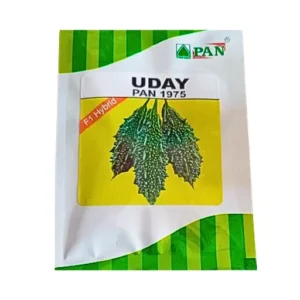 New Pan (PAN 1975) Uday F1 Hybrid Bitter Gourd Organic Vegetable Seeds