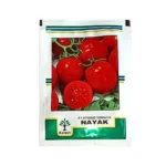 New Kalash Nayak F1 Hybrid Tomato Seeds