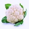 Shatabdi F1 Hybrid Cauliflower Seeds (129 Pis)