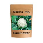 Meghna-315 Cauliflower Seeds