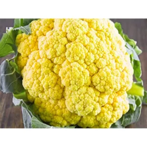 Flixhob Megha F1 Hybrid Broccoli Seeds 129 Pis