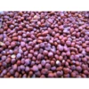 Flixhob Ritika 125 F1 Hybride Kholrabi Seeds 129 Pis