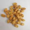 Flixhob Shot Gun F1 Hybrid Bitter Gourd Seeds 29 Pis