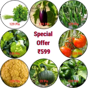 Flixhob Special Offer All Seeds 129 Pis