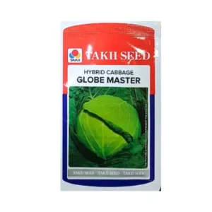 Takii Globe Master Hybrid cabbage Seeds