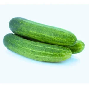 Flixhob Jyoti F1 Hybrid Cucumber Seeds 129 Pis