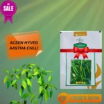 Big Sale Acsen Hyveg Aastha Chilli Vegetable Organic Seeds