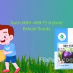 New Nath NBH-459 F1 Hybrid Brinjal Vegetable Seeds