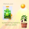 New Acsen Hyveg Akshita F1 Hybrid Brinjal Seeds