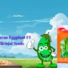 New Vachan Dhavan Eggplant F1 Hybrid Brinjal Vegetable Seeds