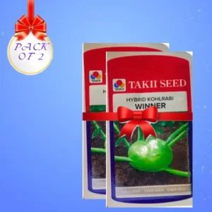 New Takii Winner F1 Hybrid Kohlrabi Vegetable Organic Seeds