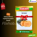 Big Sale Sakata Bhima Pumpkin Organic Vegetable Seeds